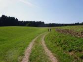  Blick auf die Wanderstrecke 